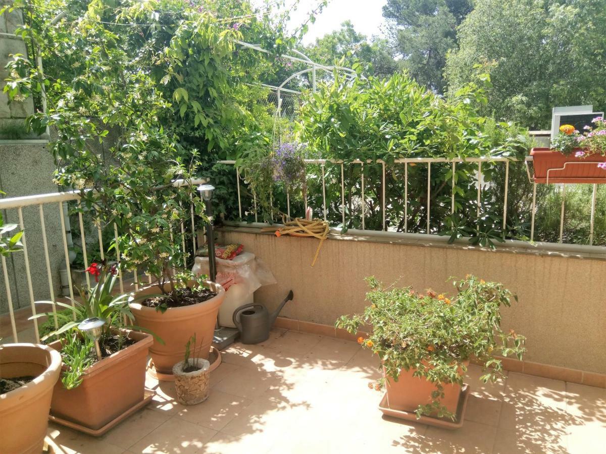 Apartma Tiha